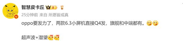 布两款小屏旗舰机 迎战小米和vivo不朽情缘正规网站传OPPO年底将发(图3)